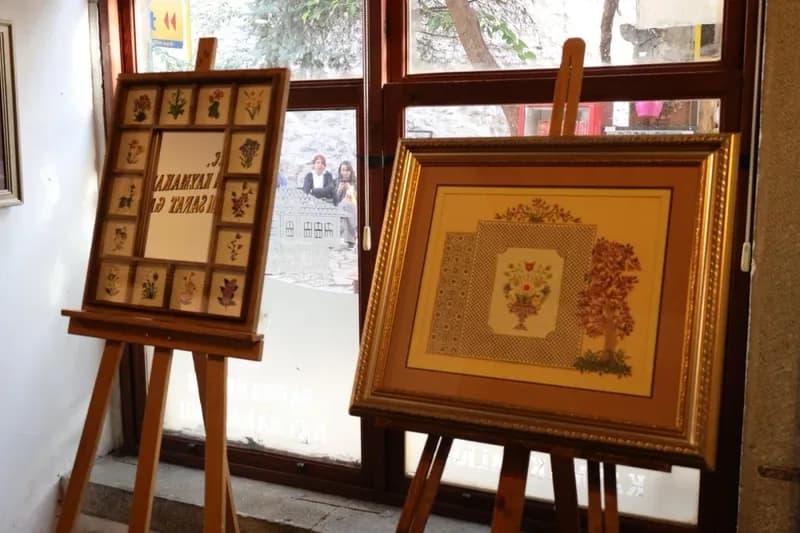 Safranbolu’da 9. Safran Festivali’nde Sanat ve Safran Buluştu — görsel 3