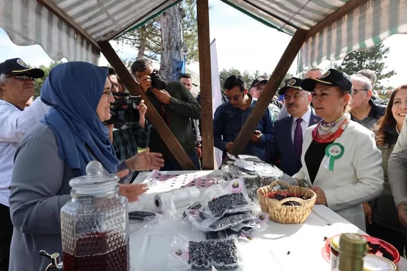 7. Safran Festivali, 2023 — doğa yürüyüşü 5