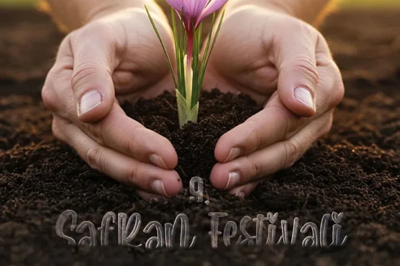 Safranbolu’da Safran Zamanı: 9. Safran Festivali 17-19 Ekim’de Başlıyor — görsel 1